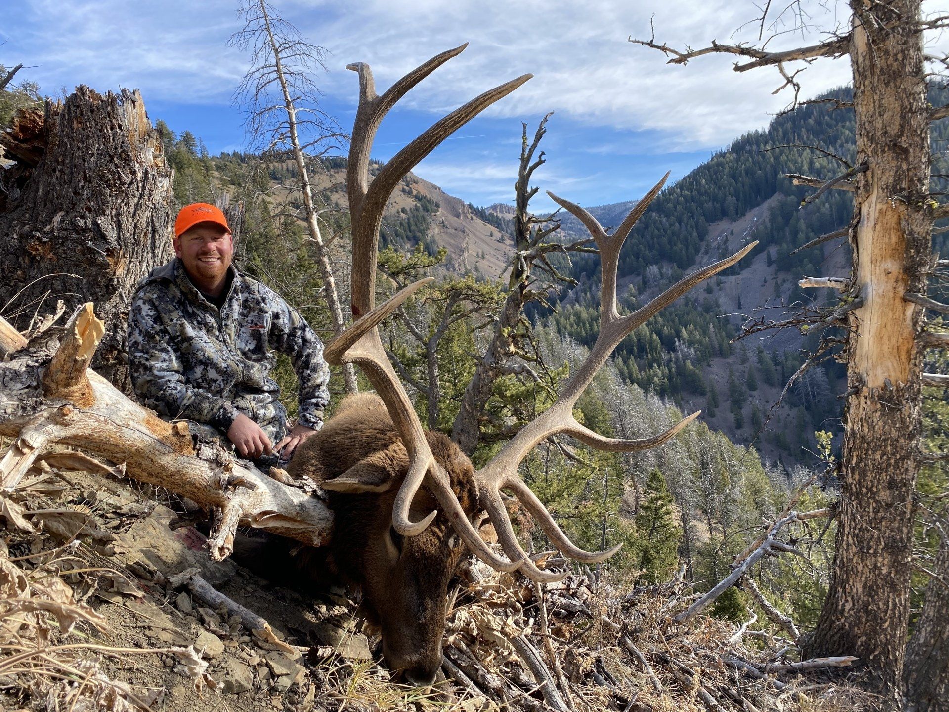 Man in camo sits beside an elk he hunted, orange cap, mountain setting, sunny.