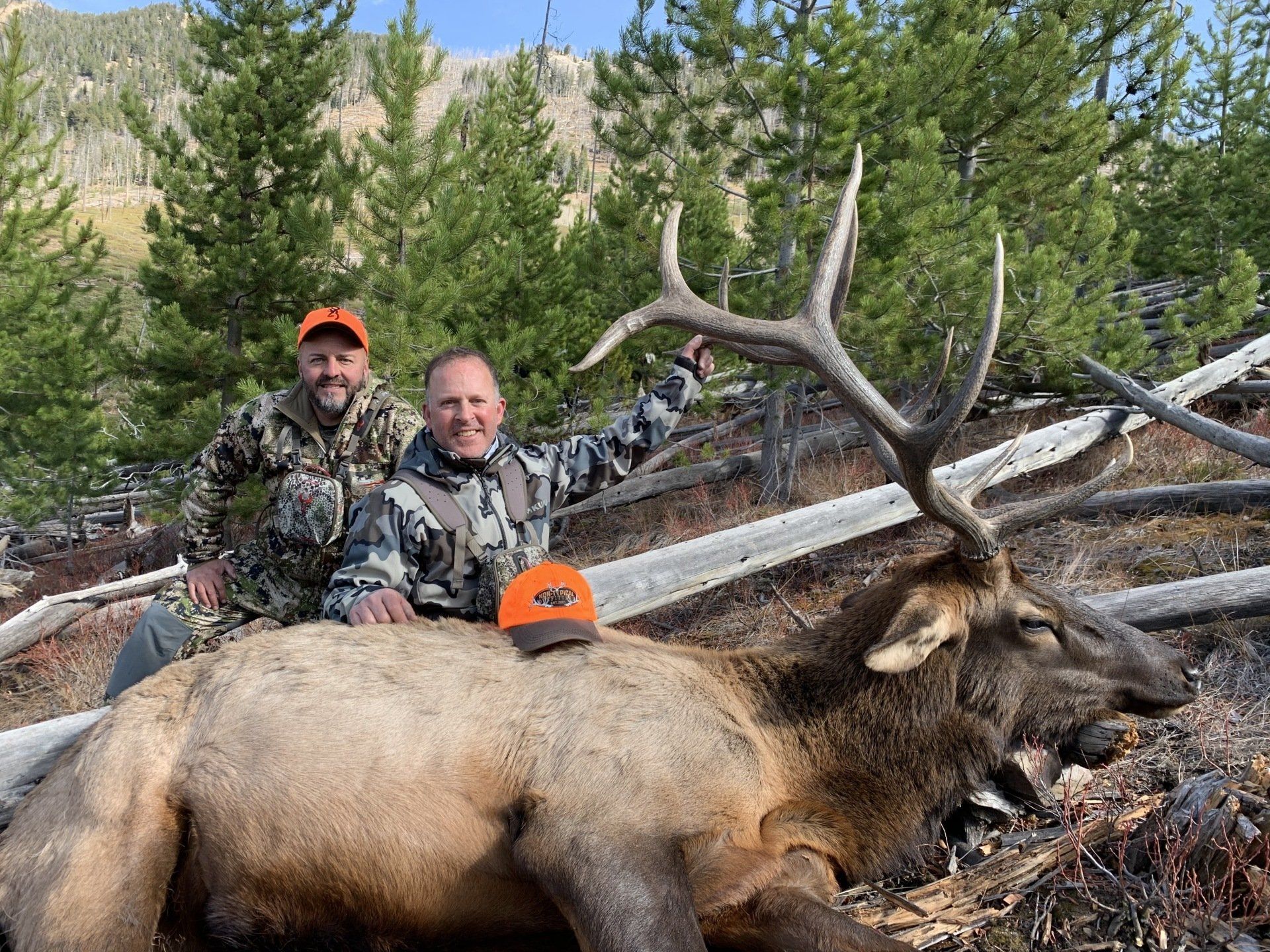 Two men pose with a large elk in a forest. One man points; both wear camouflage and orange hats.
