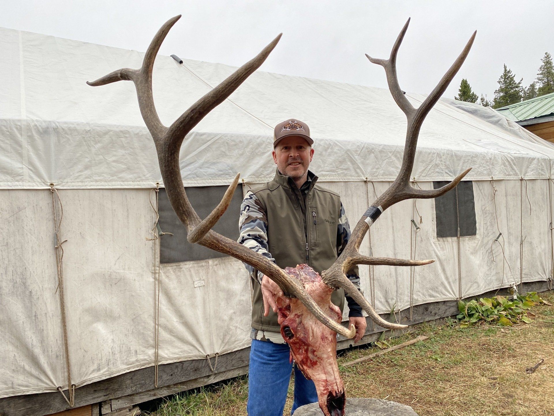 Man holding elk skull with large antlers. Outdoors near a white tent.