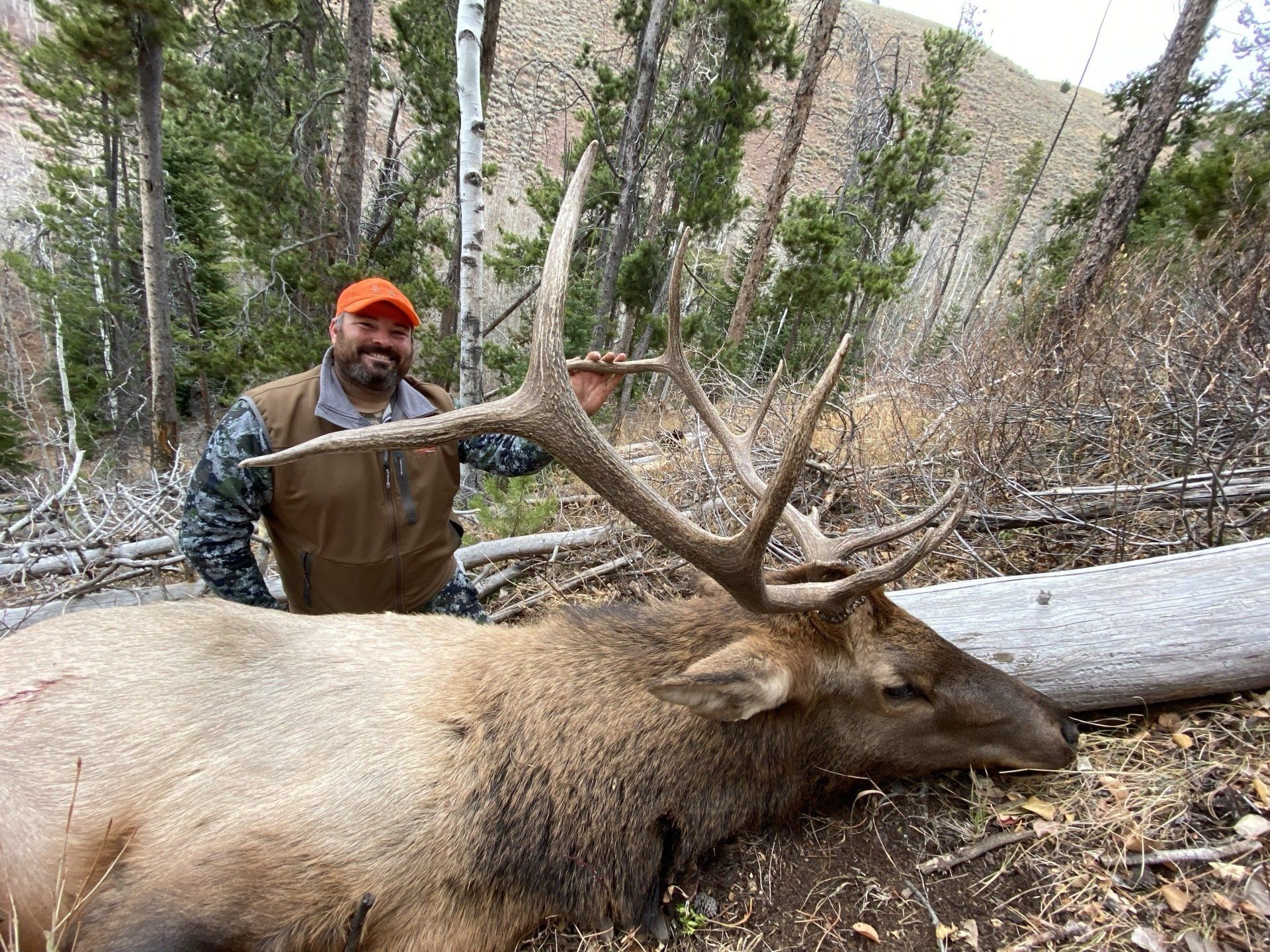 Man in hunting gear poses next to a dead elk in a wooded area. He is smiling.