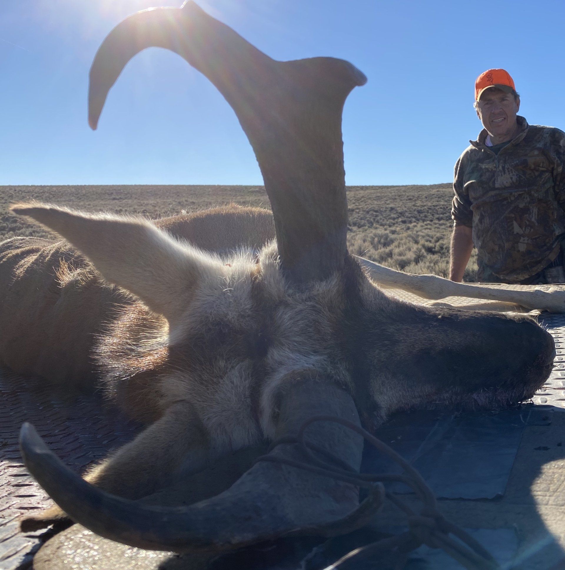 Man in orange hat with a harvested trophy pronghorn buck in a Wyoming desert landscape.