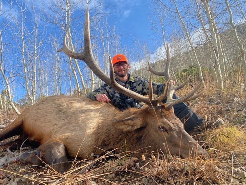 Hunter in orange hat kneels next to a large elk with antlers in a mountainous setting.