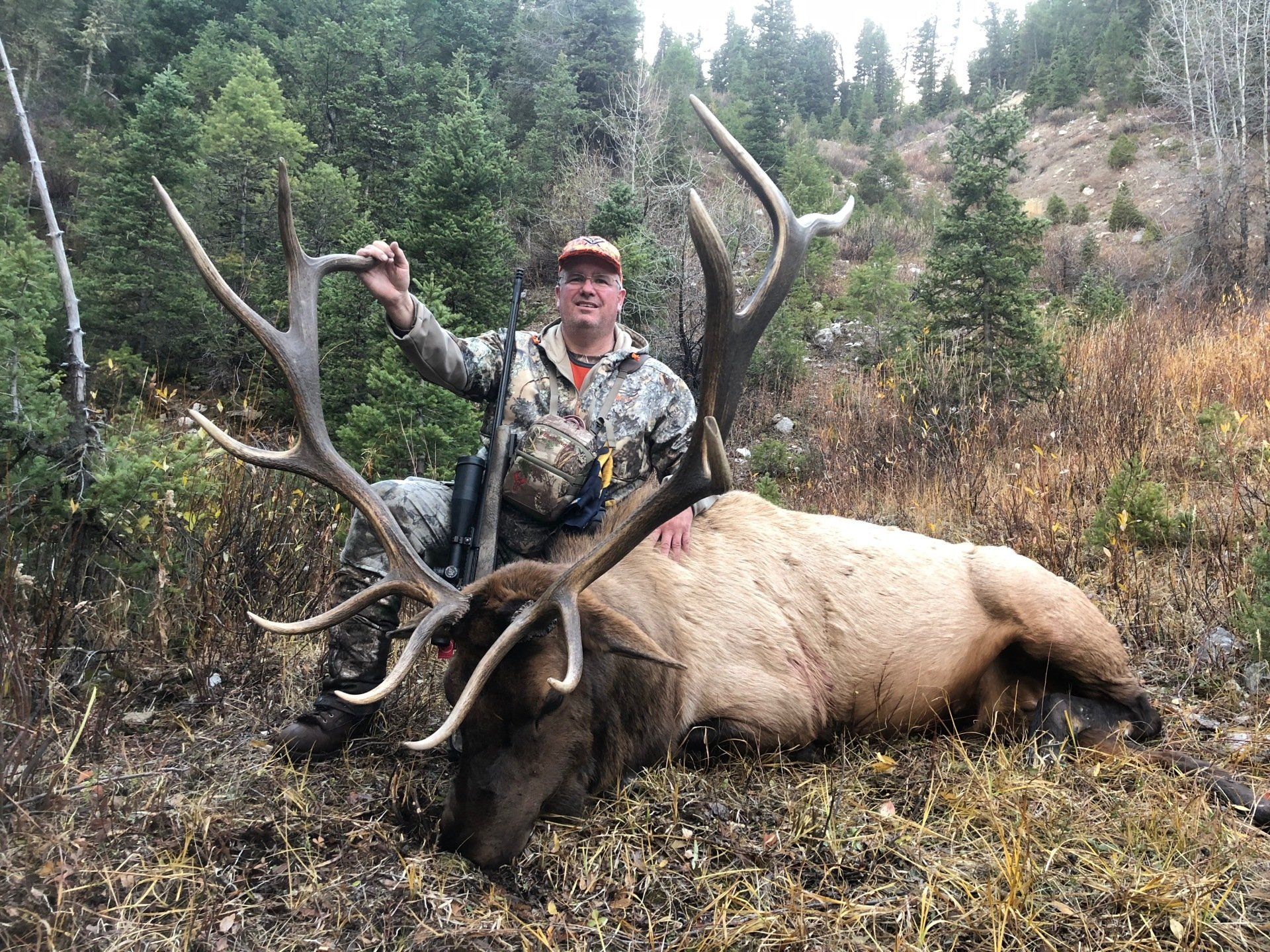 Hunter in camouflage poses with a large elk, holding antlers, in a wooded area.