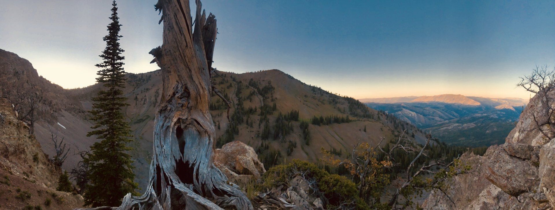 A panoramic view of a mountain range with trees and rocks