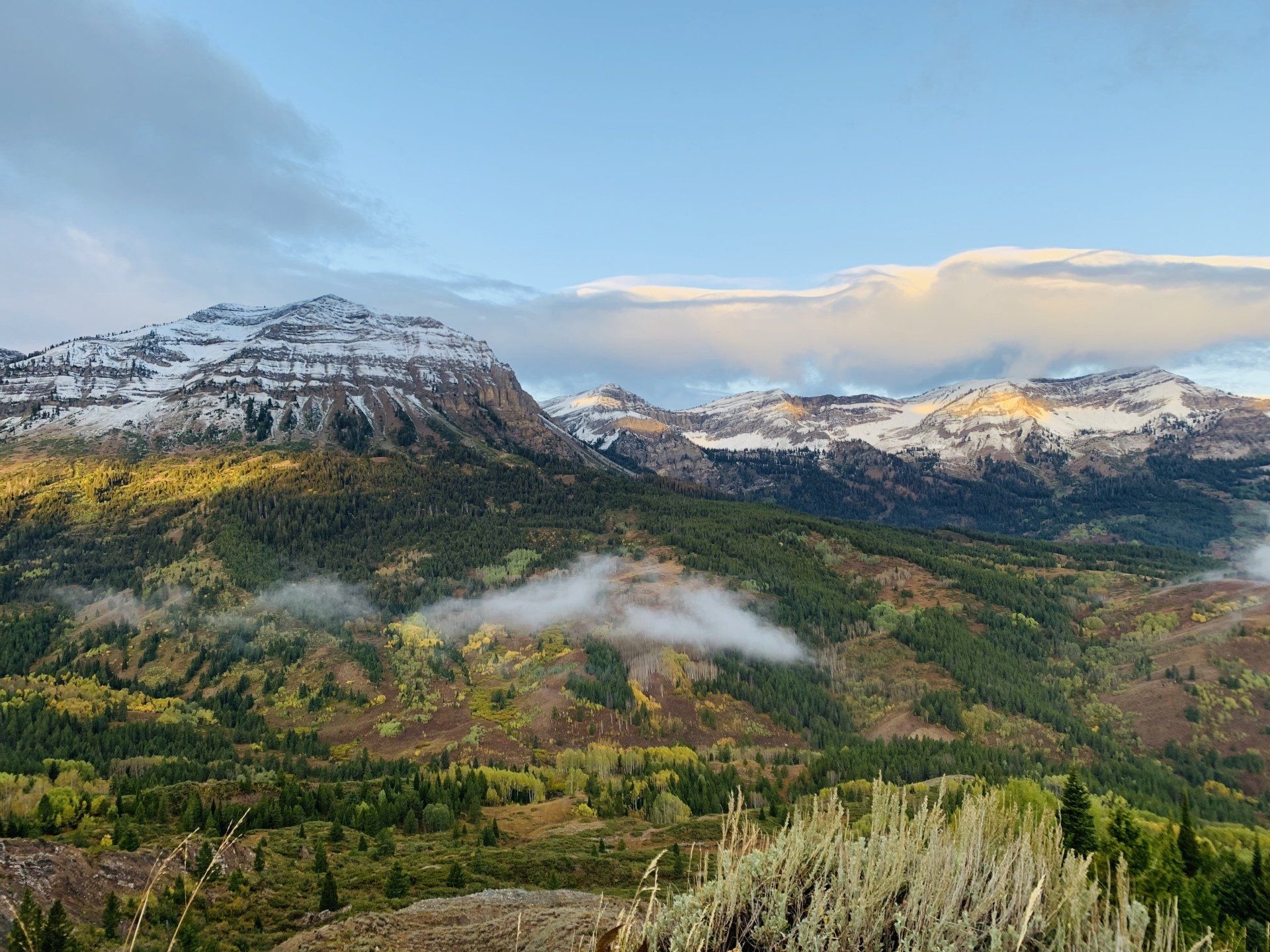 A mountain range with trees and clouds in the background