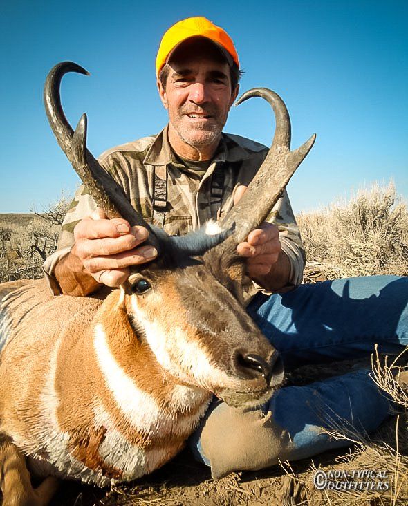Man in orange hat holds a Wyoming pronghorn antelope with large horns in a field.