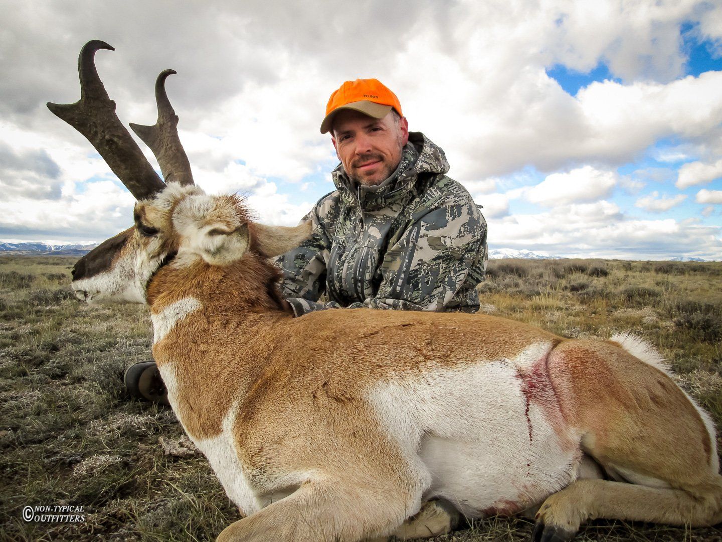 Hunter in camouflage, orange hat, kneels beside a harvested pronghorn antelope on open terrain.