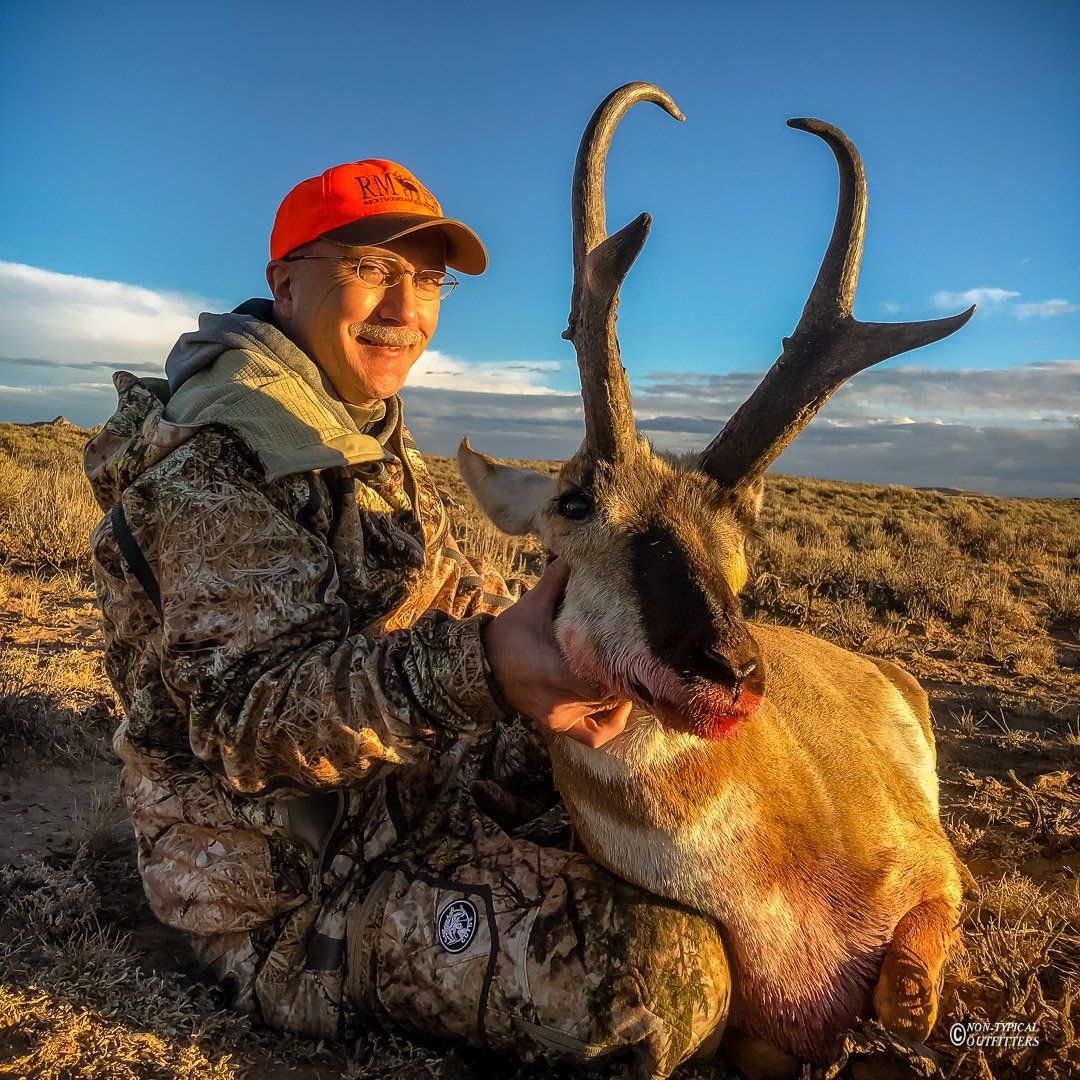 Man in camouflage holds buck pronghorn antelope he hunted.  Orange cap, blue sky, outdoors.