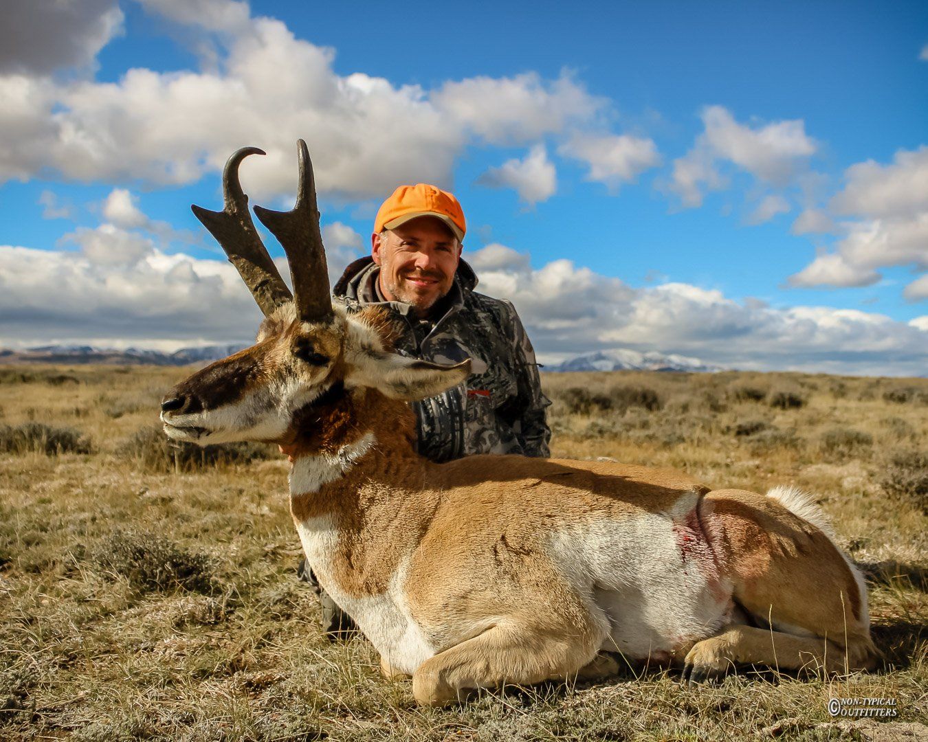 Man in camo and orange hat kneels beside a harvested pronghorn antelope in a field under a blue sky.