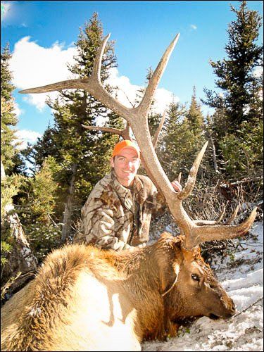 Man in camouflage and orange cap with elk he harvested in snowy forest.