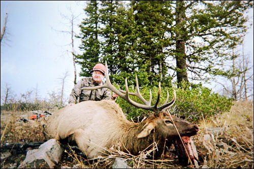 Hunter poses with a large elk, antlers visible. Outdoor setting with trees and grass.