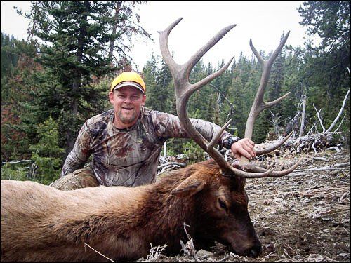 Hunter kneeling beside a large elk with impressive antlers in a forest setting.