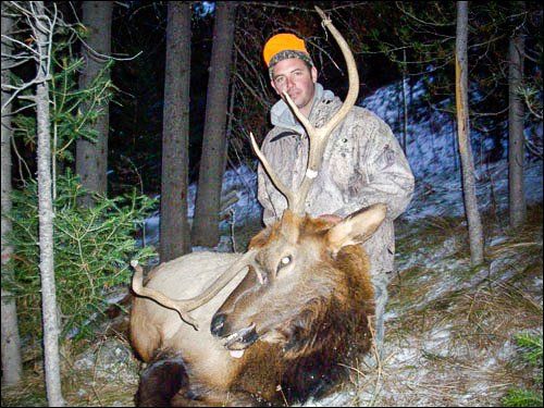 Hunter in camouflage stands over a dead elk in a forest at night.