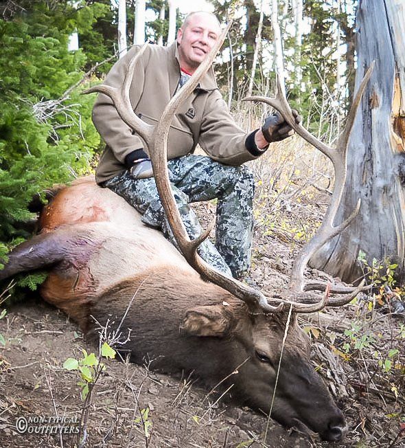 Man in camouflage sits atop a large elk in a forest, holding its antlers.