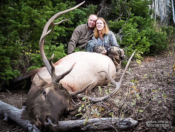 Couple poses with a harvested elk in a forest. Man in brown, woman in camouflage, both smiling.
