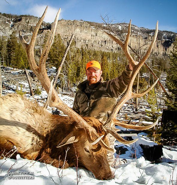 Man in orange hat with a large elk he harvested, in snow with a mountain backdrop.