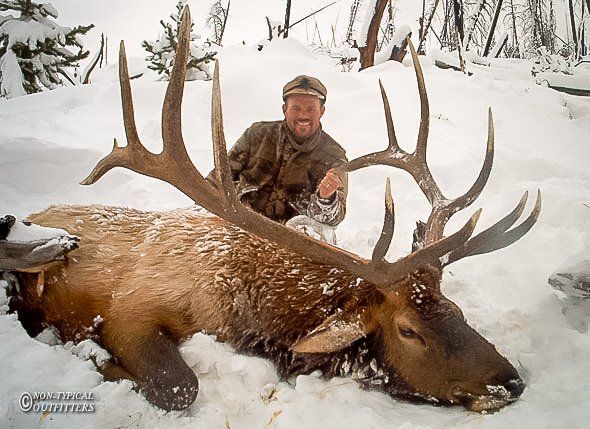 Hunter kneeling in snow next to a large elk with impressive antlers.
