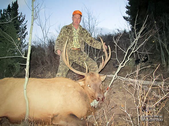 Hunter in camouflage stands over a dead elk with large antlers in a wooded area.