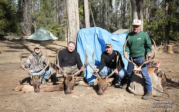 Four men pose with elk they harvested in a forest; a blue tarp and tent are behind them.