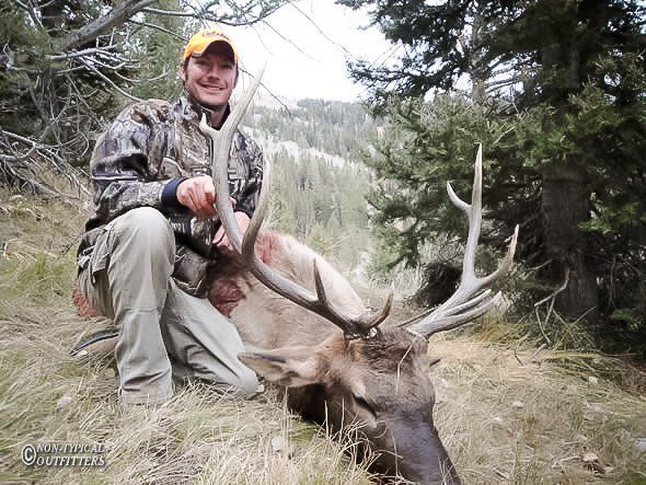 Man in camouflage kneels beside a dead elk with large antlers in a wooded area.