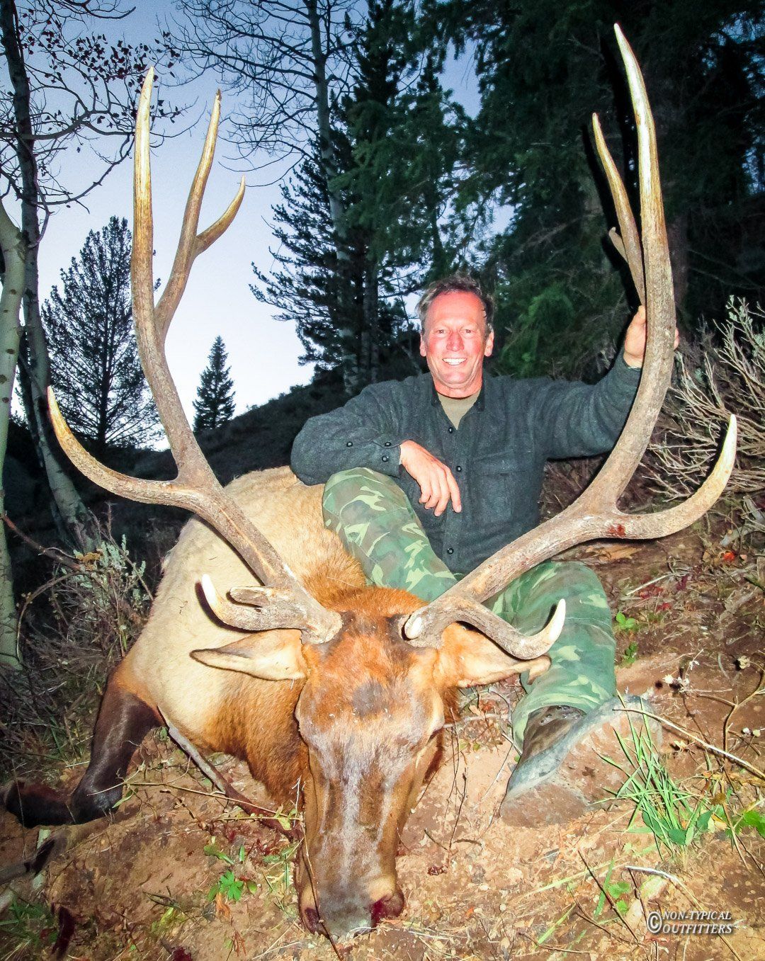 A man sitting next to a large deer in the woods