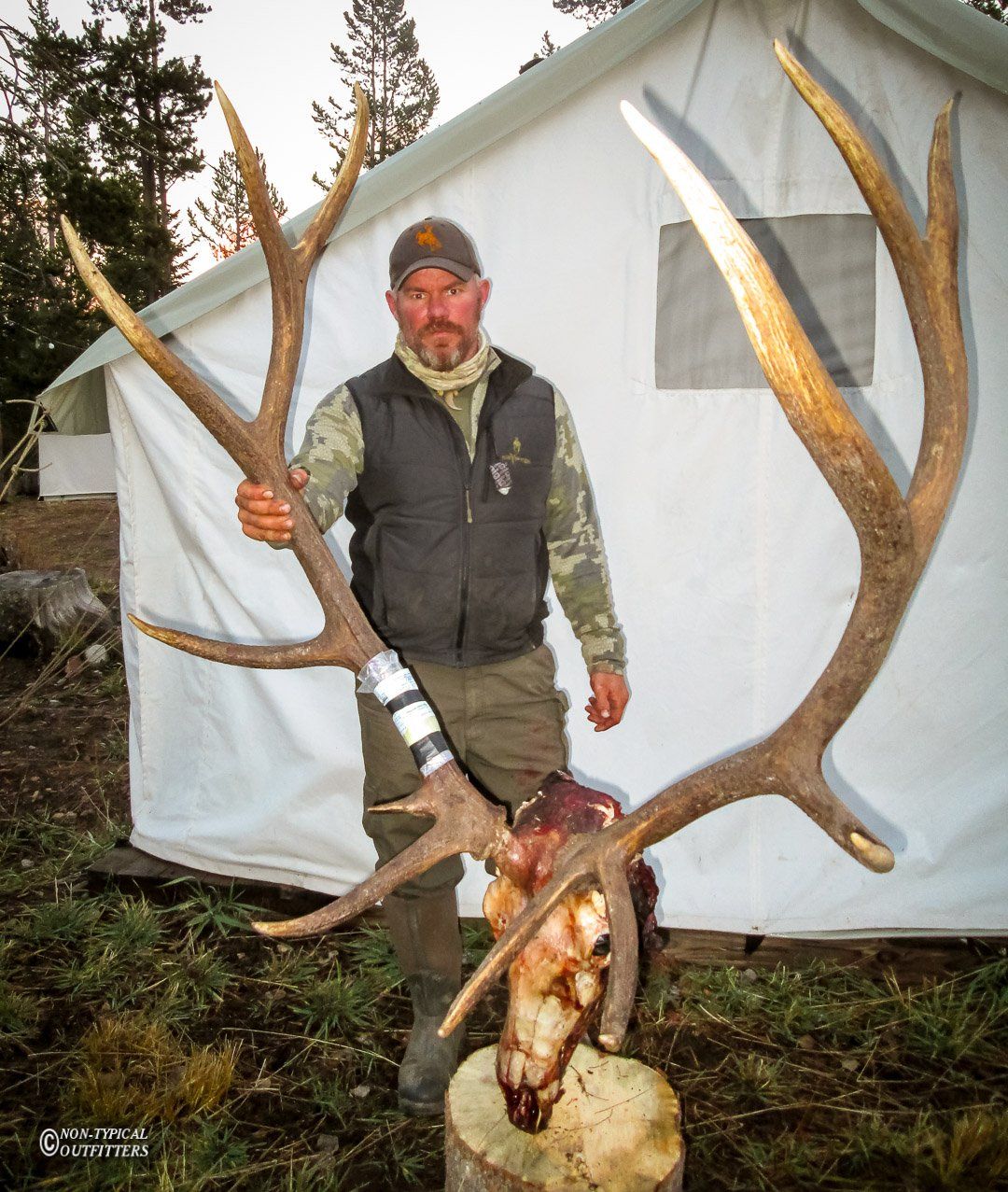 A man holding a large deer skull in front of a tent
