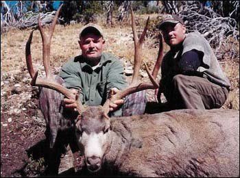 Two men pose with a large elk, holding its antlers. They are outside with a mountainous backdrop.