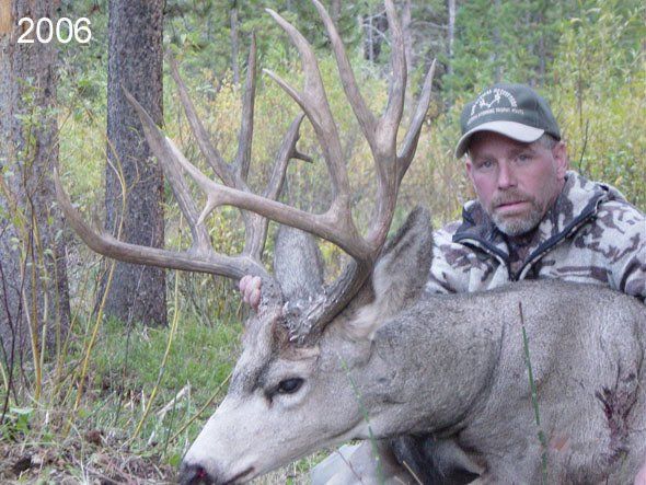 Man in camouflage with large-antlered deer in a wooded area; deer has visible injury.