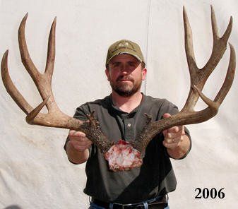 Man holding large elk antlers, brown antlers against light background.