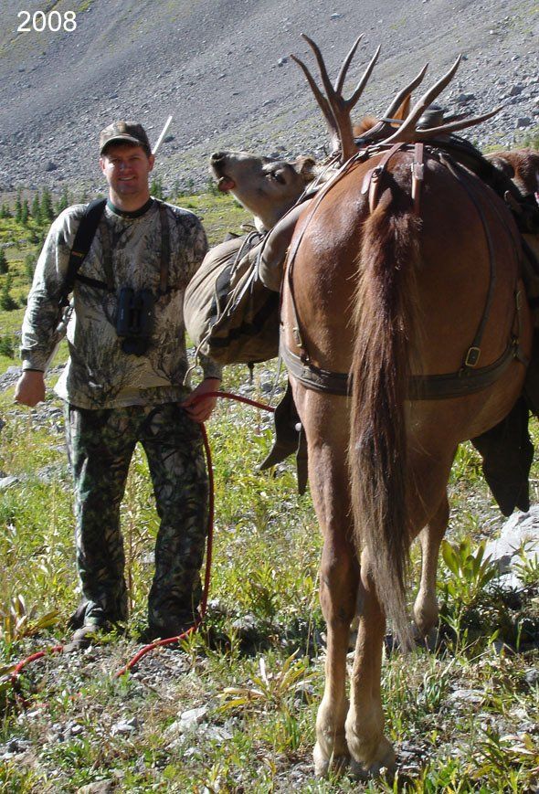 Man in camouflage gear standing with a pack animal, elk antlers on top. Mountains and greenery.
