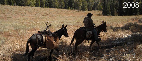 A person rides a horse alongside a pack animal through a field. The year 2008 is in the top right.