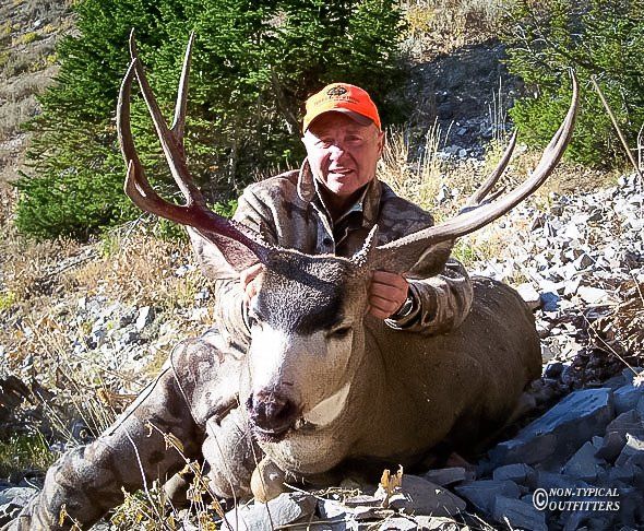 A man in an orange hat holds a large deer