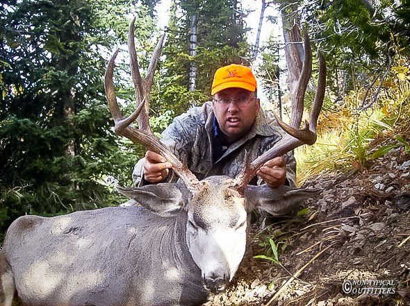 A man in an orange hat is posing with a deer