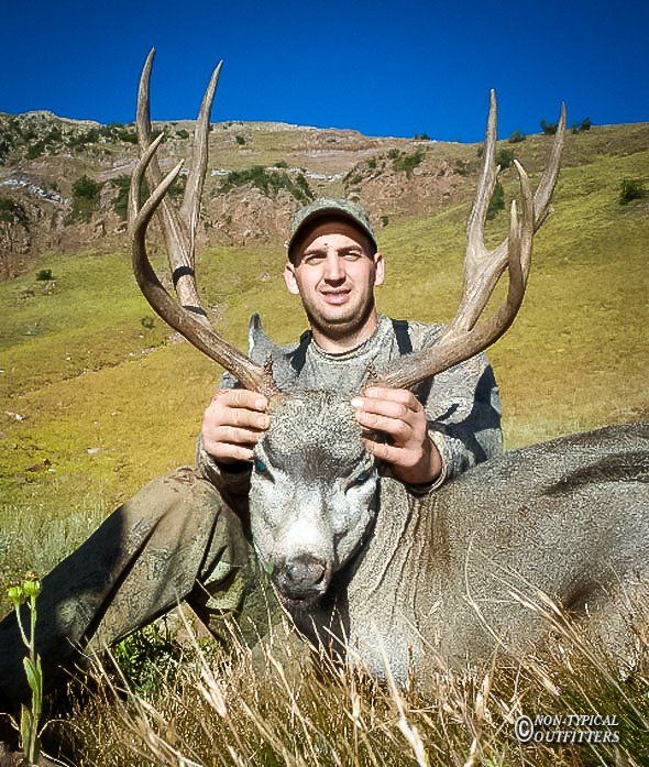 A man is holding a large deer in his hands