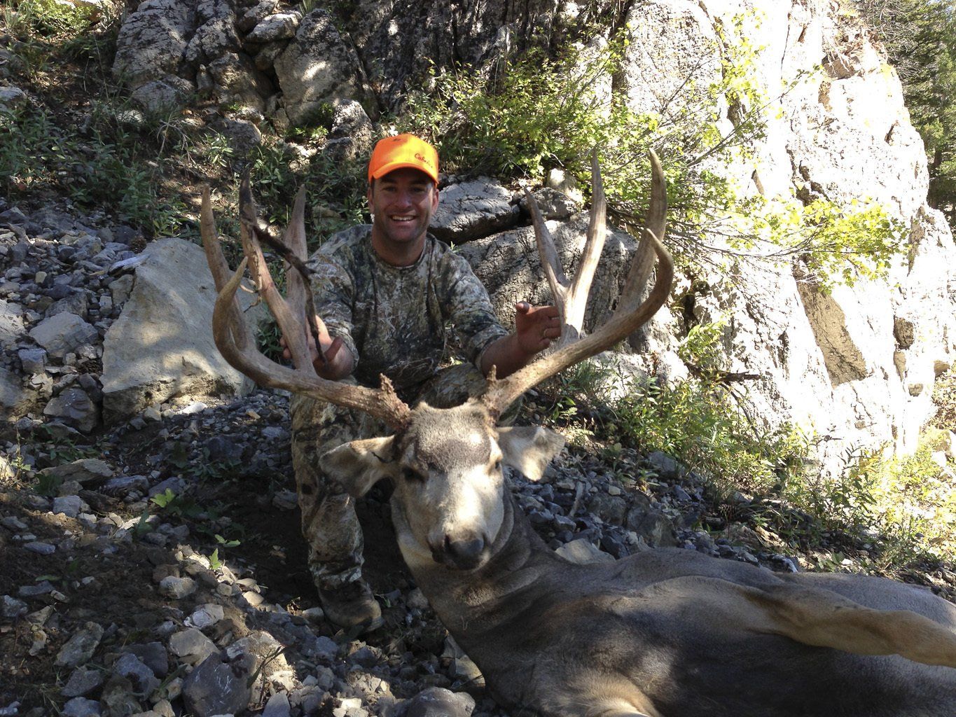 A man in an orange hat poses with a large deer
