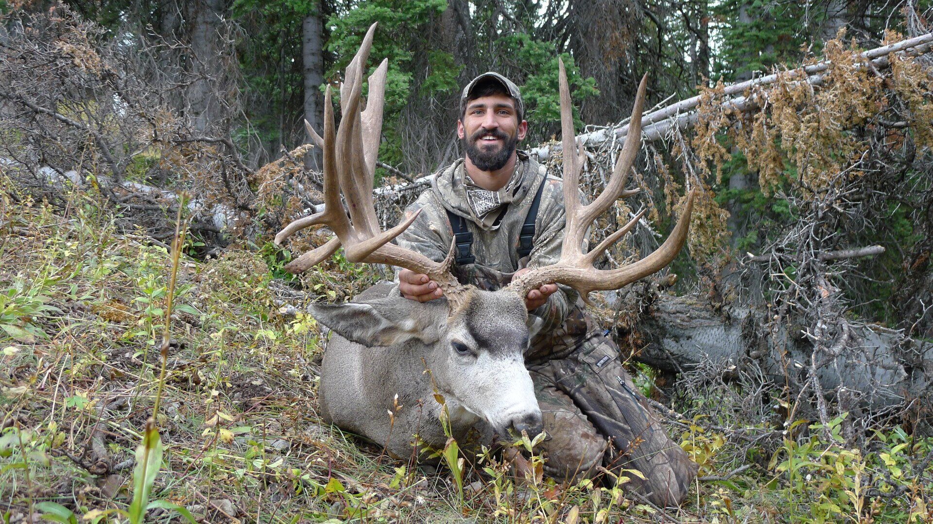 A man is kneeling down next to a large deer in the woods.