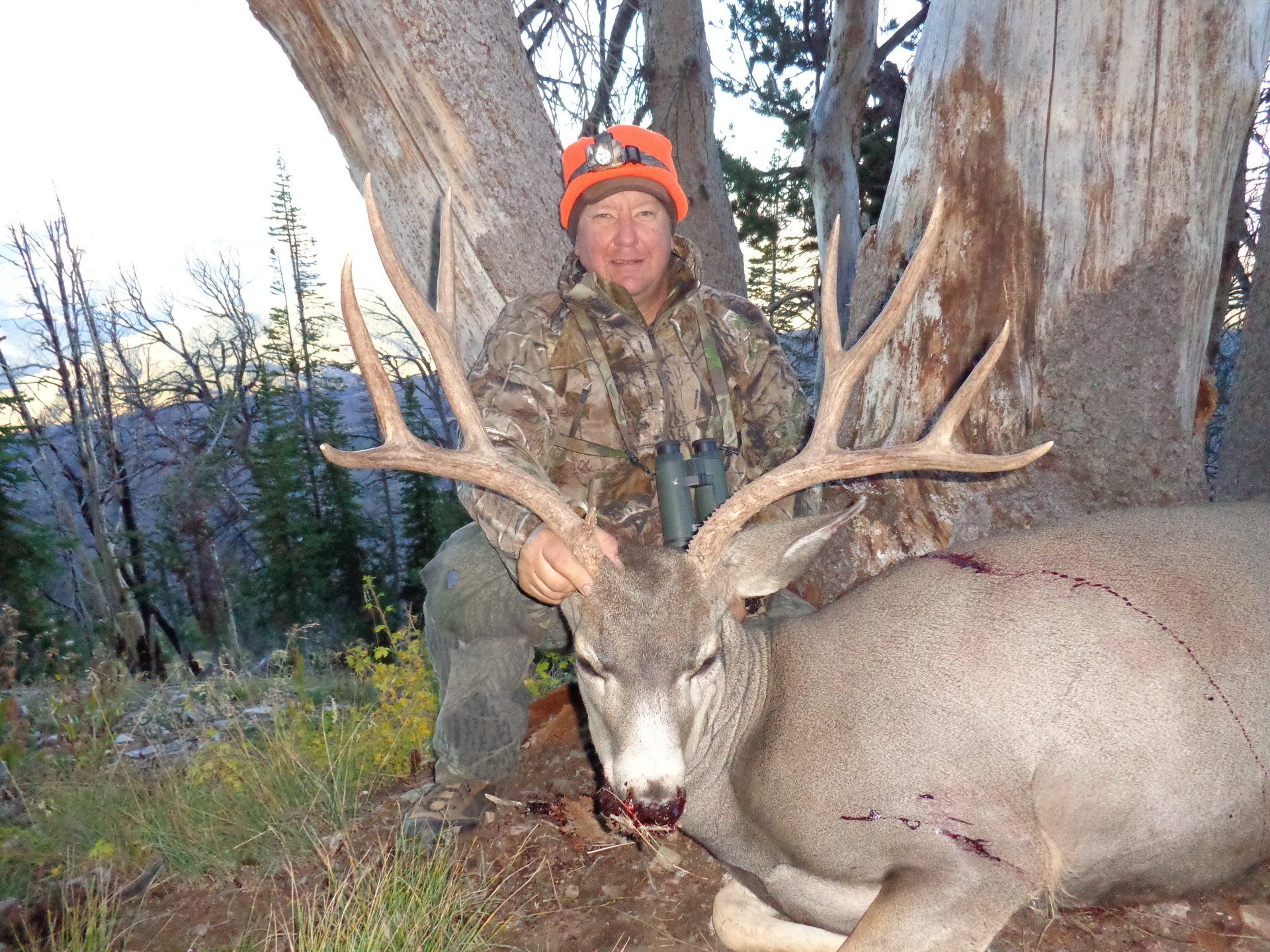 A man is kneeling next to a large deer