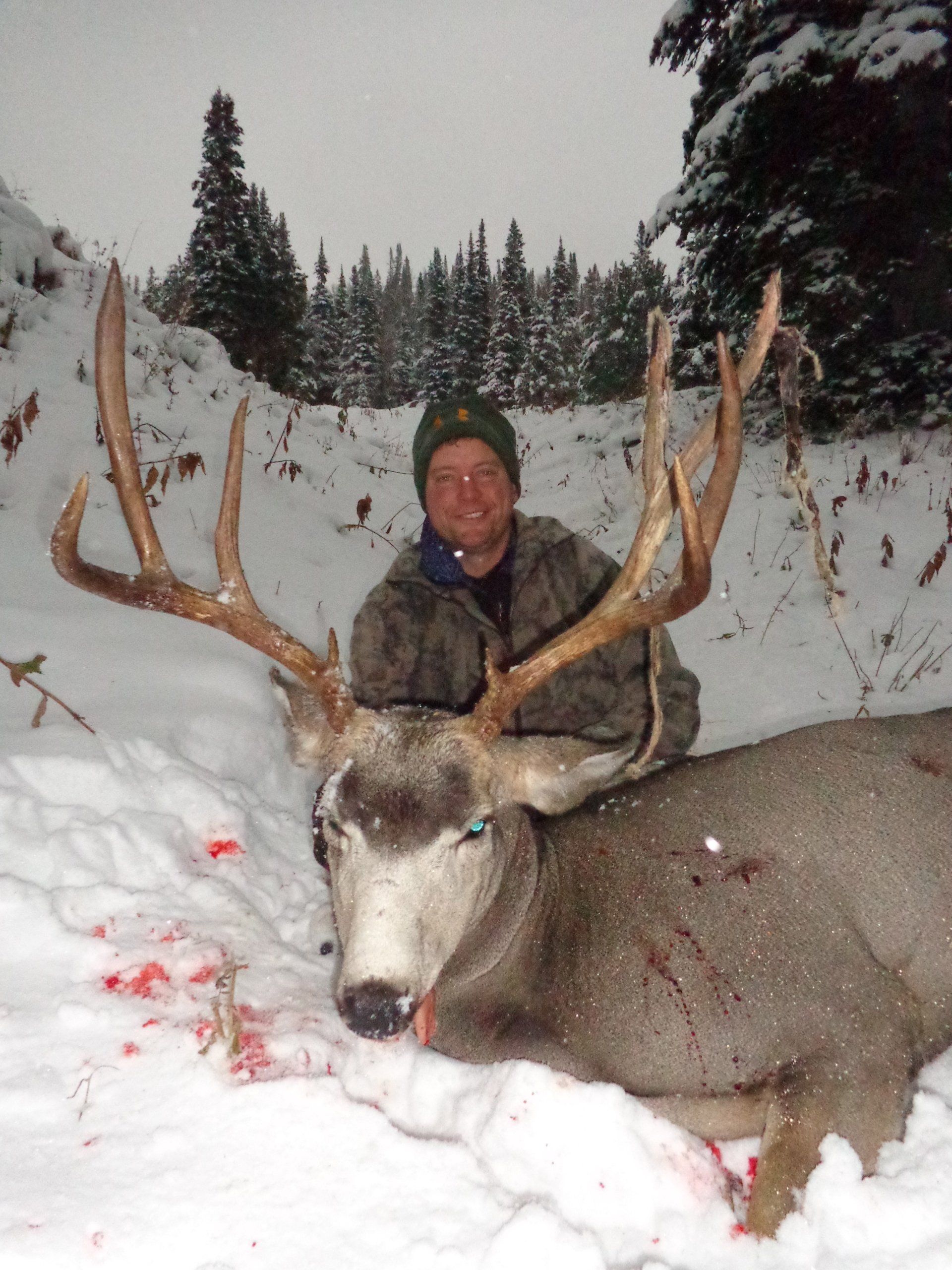 A man is standing next to a large deer in the snow