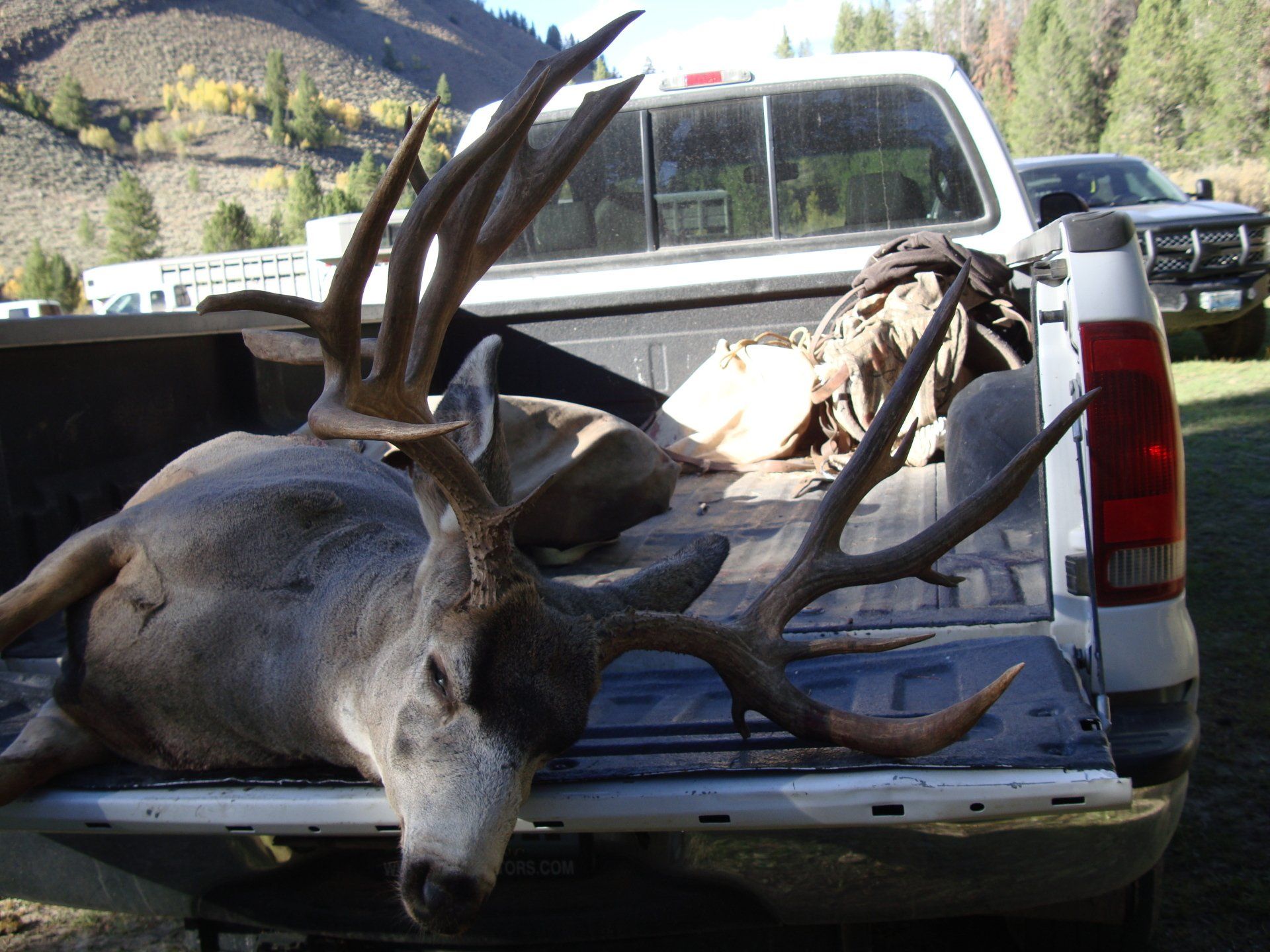 Large buck deer in the bed of a white pickup truck; antlers prominent. Mountainous setting.