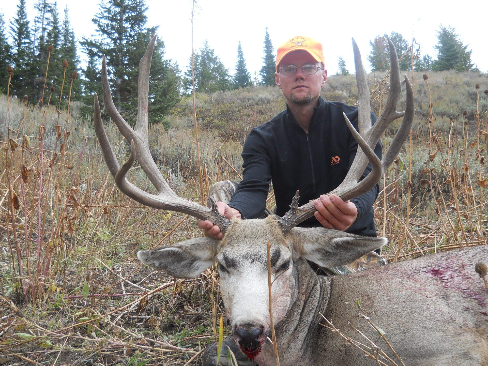 A man in an orange hat is holding a deer