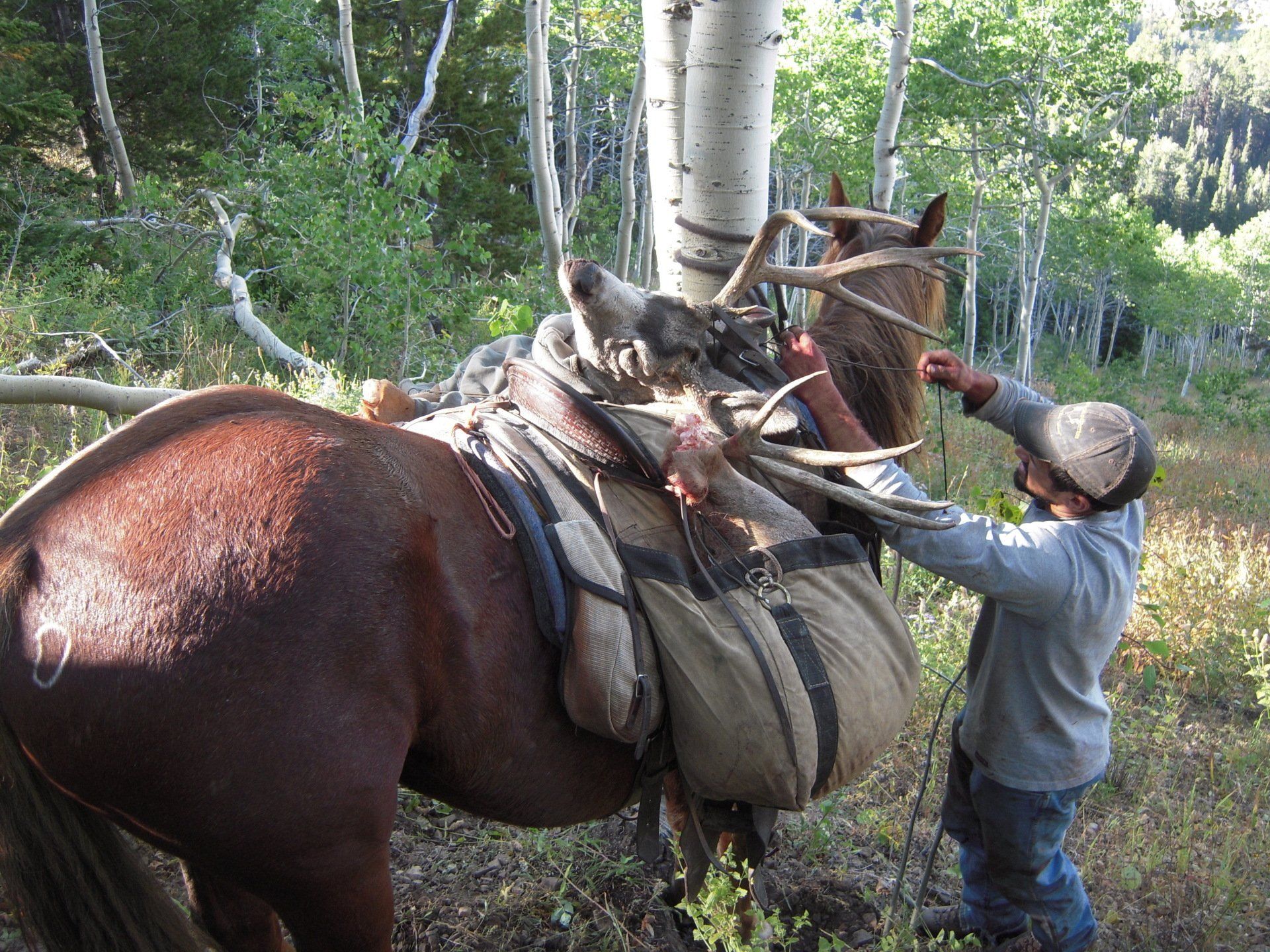A man standing next to a horse with antlers on it
