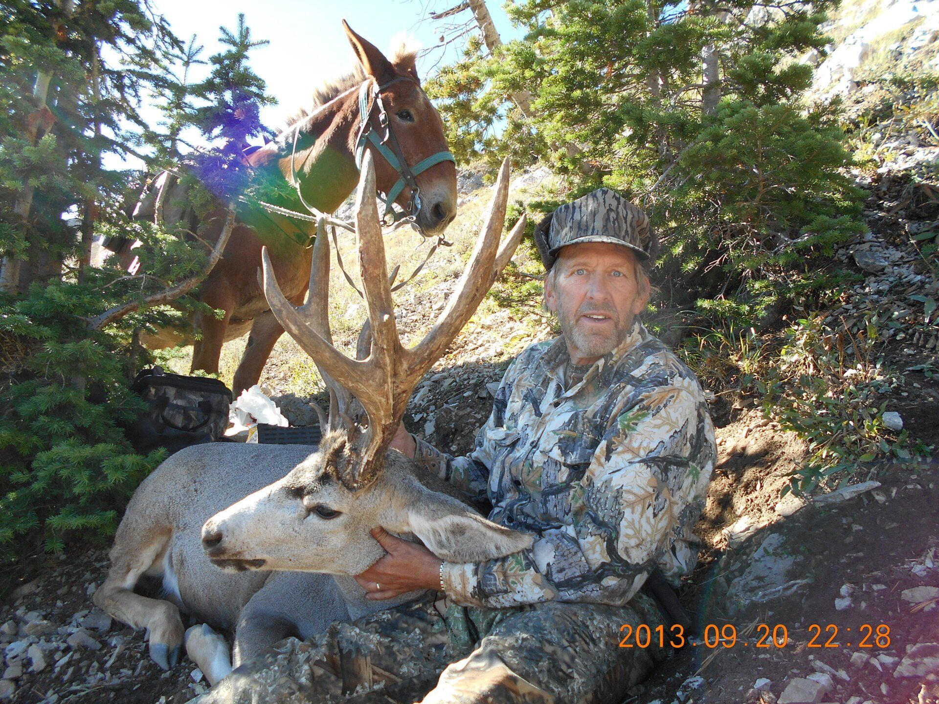 Man in camo with a large buck, mule in background, in a mountainous setting.
