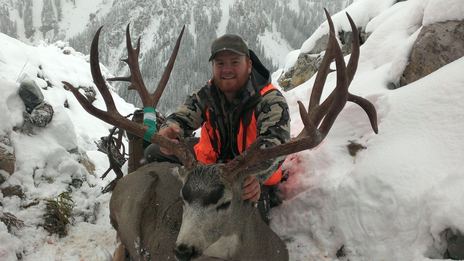 A man in an orange vest holds a large deer in the snow