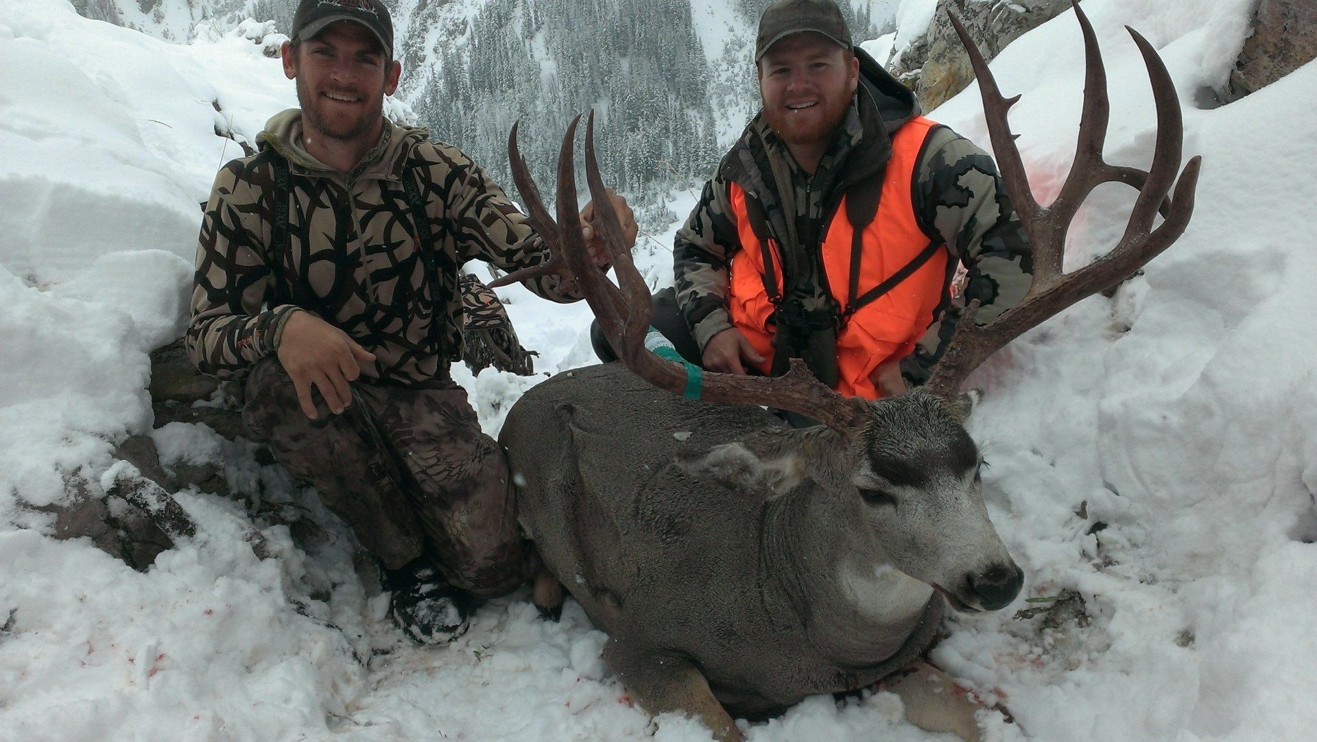 Two men sitting next to a large deer in the snow
