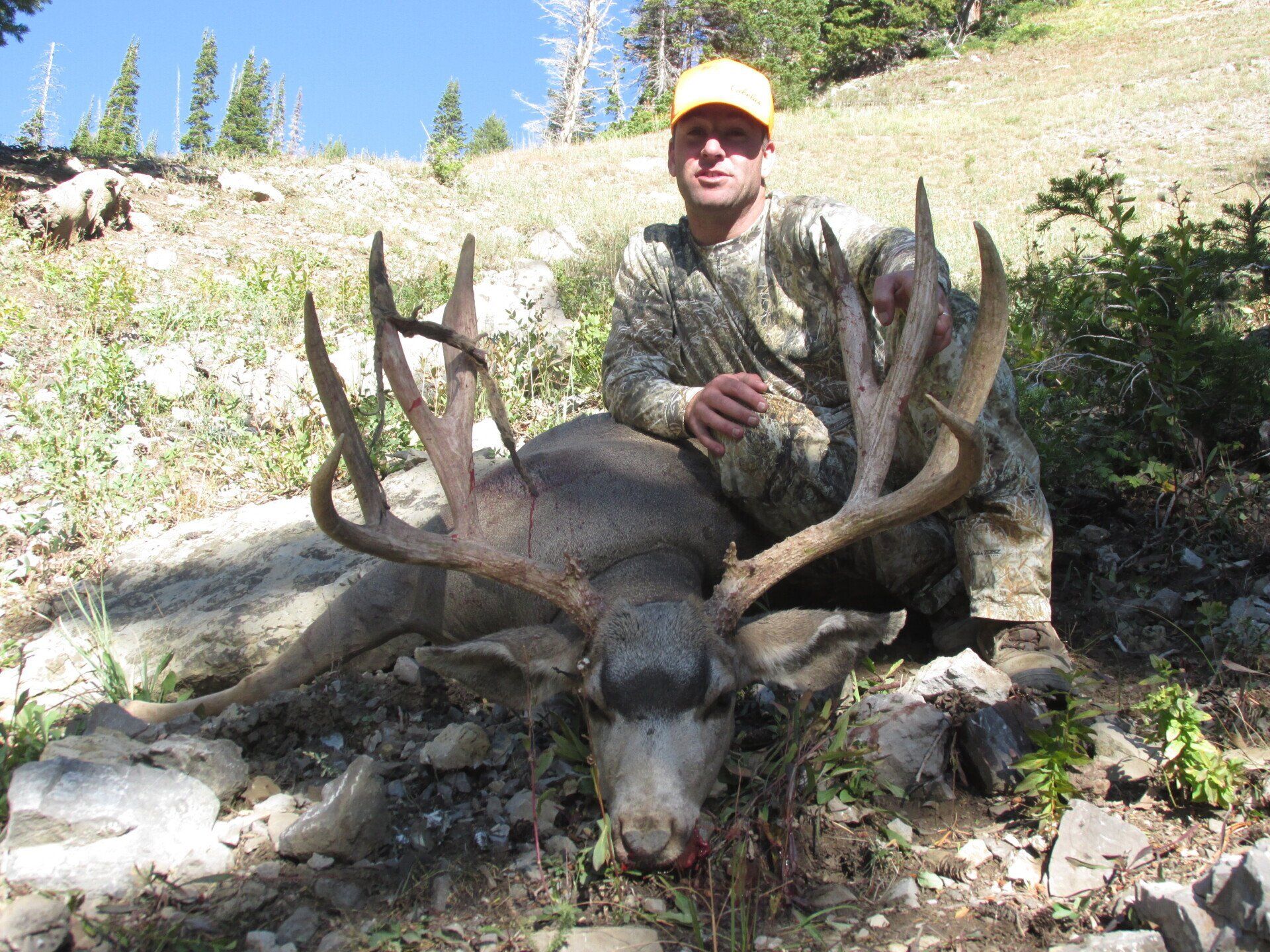 Hunter in camouflage kneels beside a large buck with antlers on a hillside.