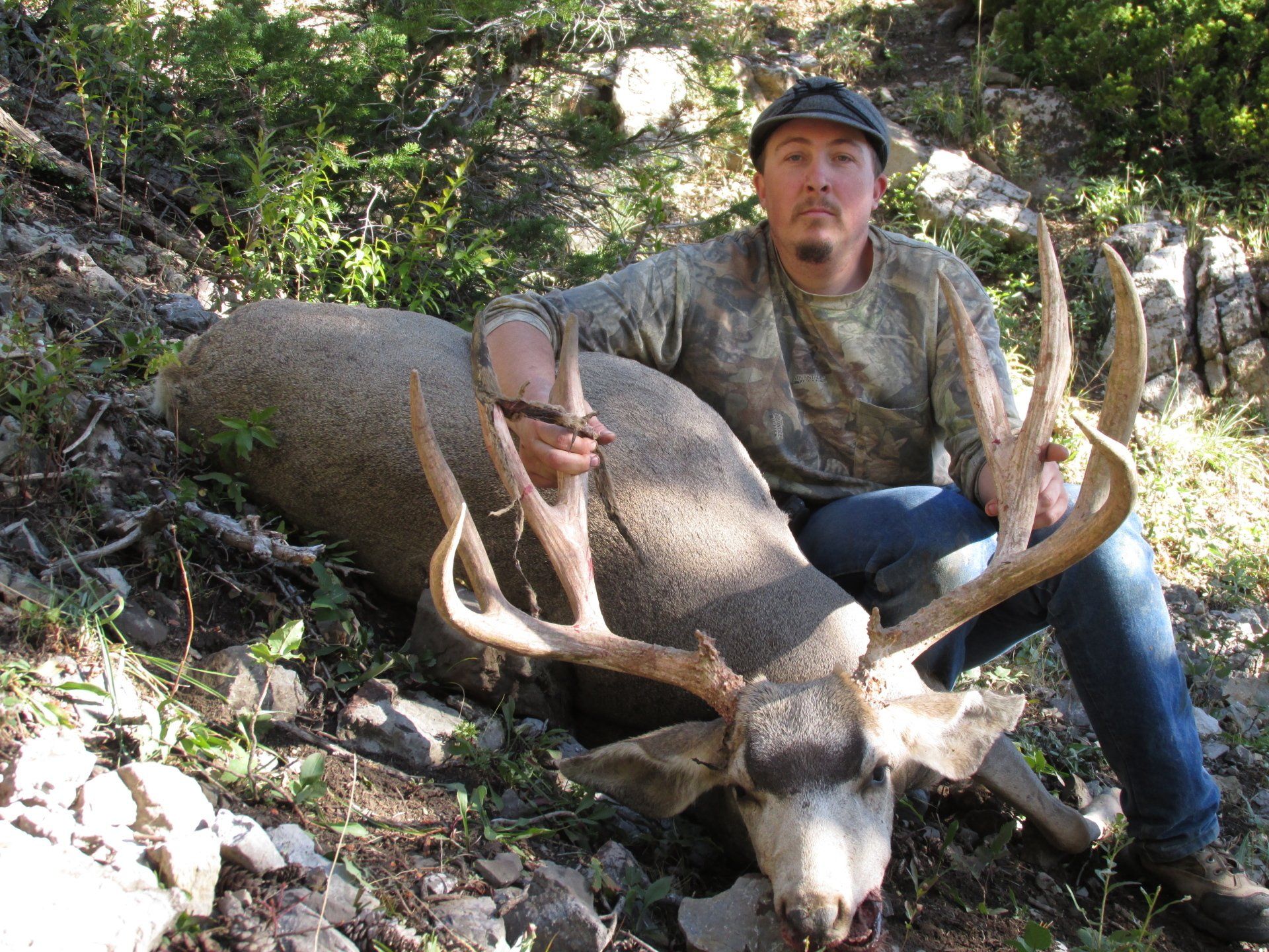 Man seated next to a harvested deer with large antlers in a wooded area.