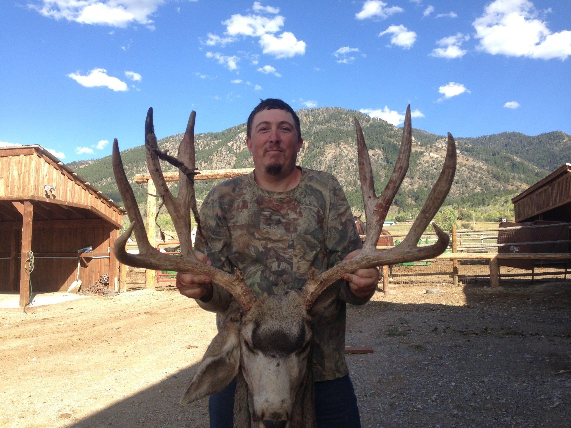 A man in a camouflage shirt is holding a large deer