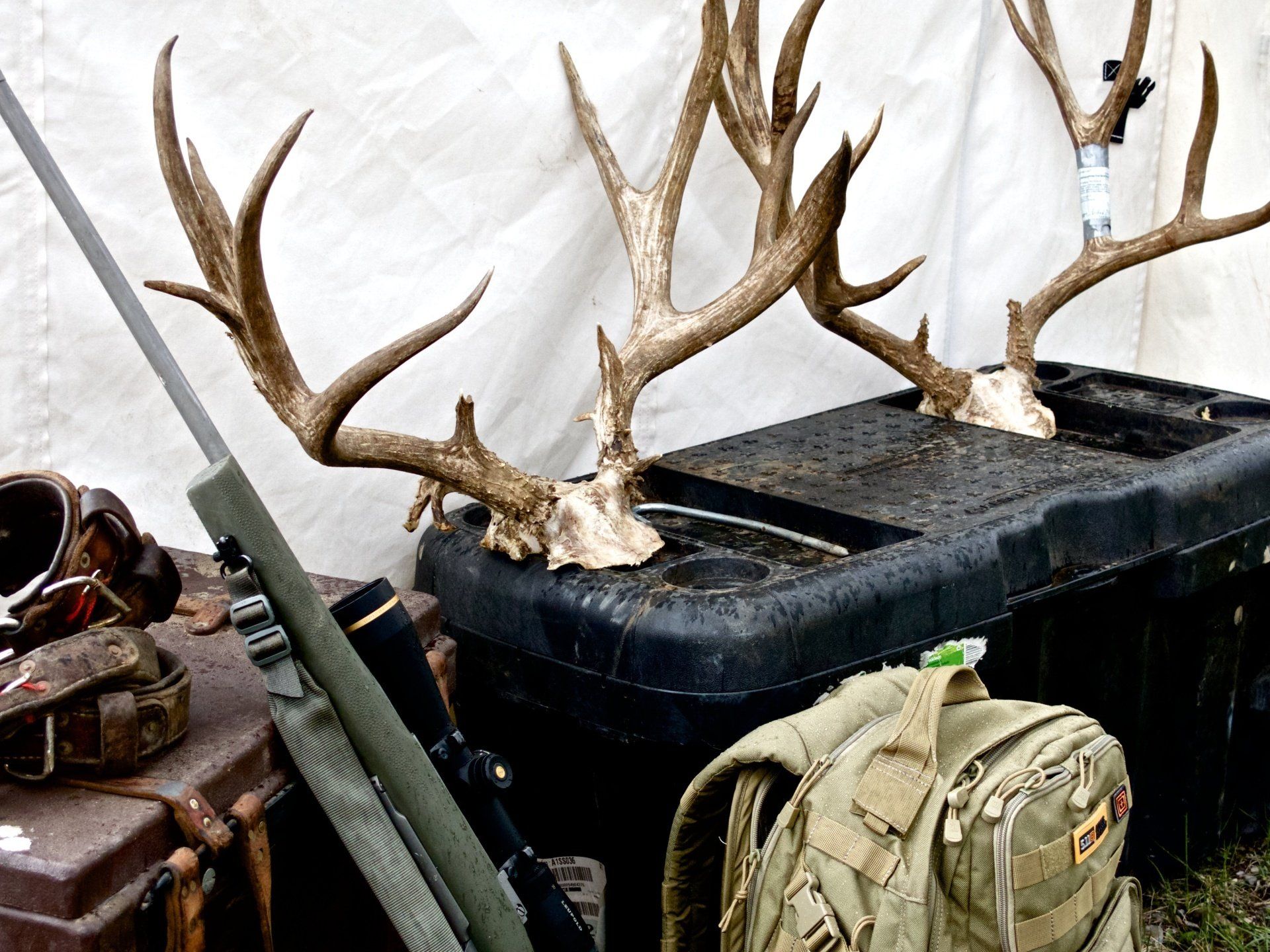 Two deer antlers are sitting on top of a black container