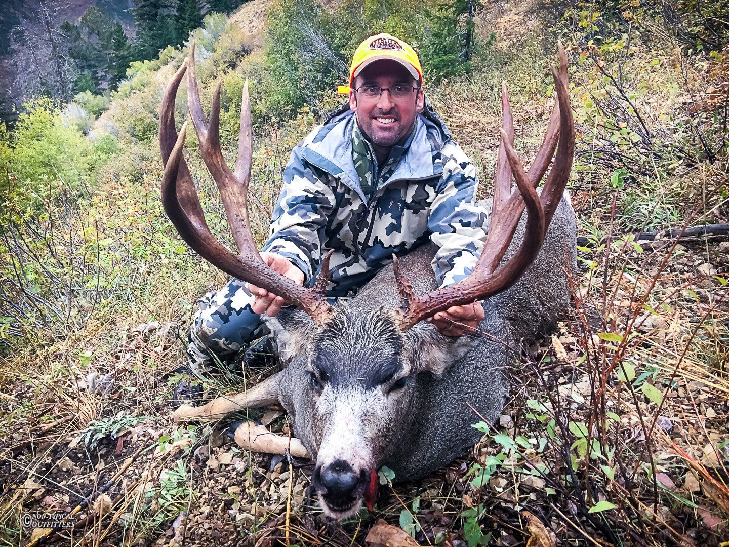 Hunter kneeling with large-antlered deer in wooded area. Hunter smiles, wearing camouflage and orange hat.