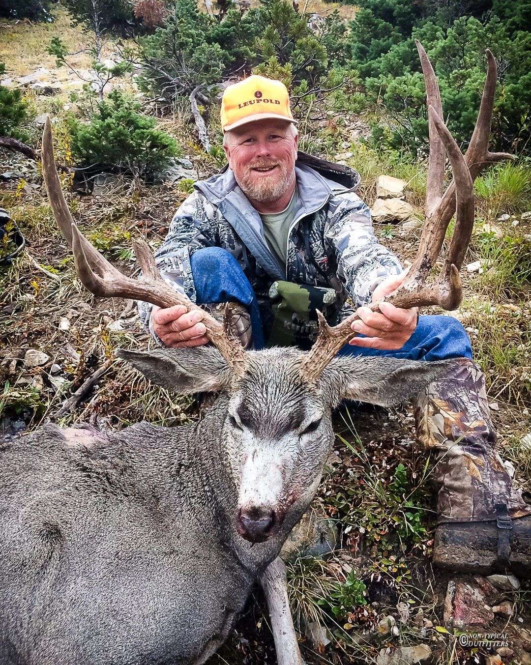 A man is kneeling down next to a large deer in the woods.